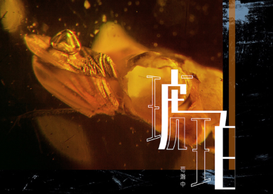    苟瀚中全新作品《琥珀》上线    化身复古迪斯科男声