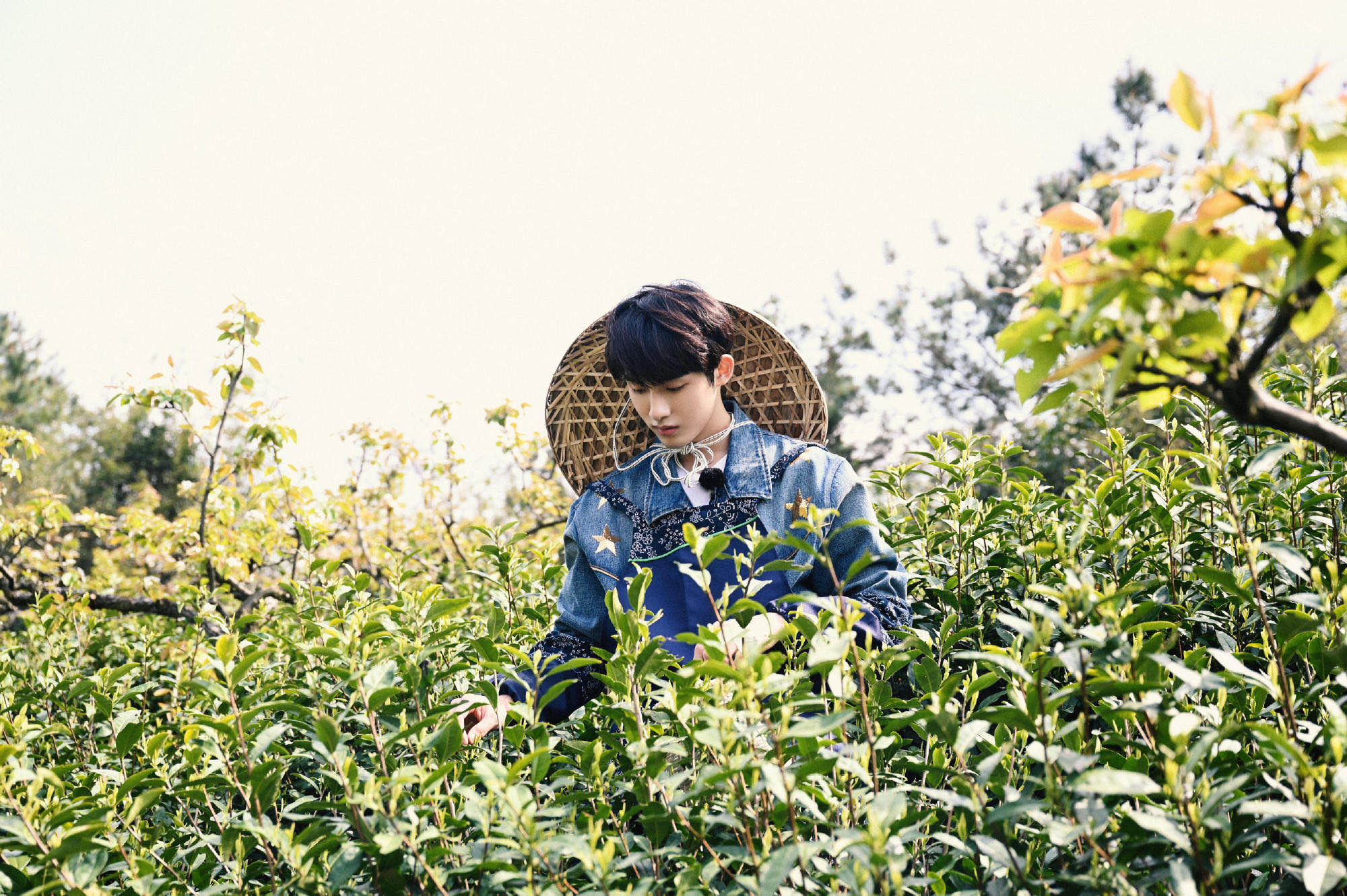 董思成《追星星的人》首播 晴朗少年春日之旅精彩不断